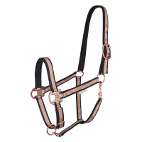 Capezza Waldhausen Shine