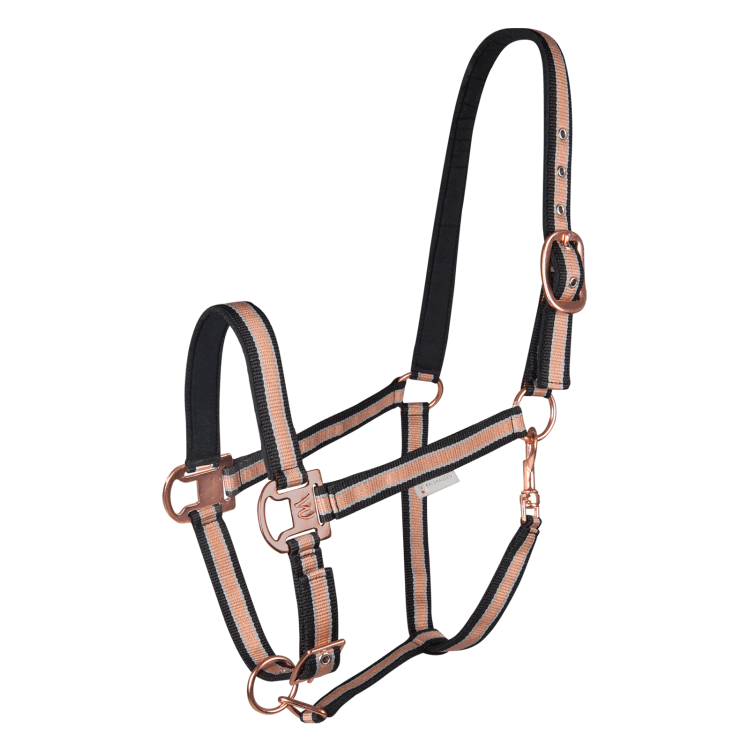 Capezza Waldhausen Shine