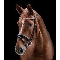 Briglia Clincher Waldhausen X-Line Nero Briglia Clincher Waldhausen X-Line Nero