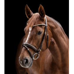 Briglia Clincher Waldhausen X-Line Marrone