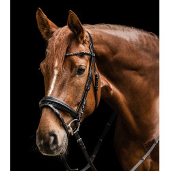 Briglia preferita Waldhausen X-Line Nero