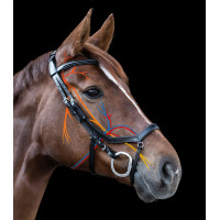 Briglia Relaxation Waldhausen X-Line Nero Briglia Relaxation Waldhausen X-Line Nero