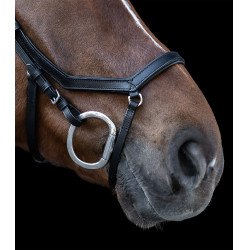 Briglia Relaxation Waldhausen X-Line Nero Briglia Relaxation Waldhausen X-Line Nero