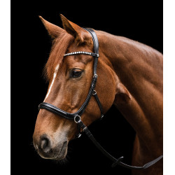 Briglia senza morso Sensation Waldhausen X-Line Nero