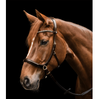 Briglia senza morso Sensation Waldhausen X-Line Marrone Briglia senza morso Sensation Waldhausen X-Line Marrone