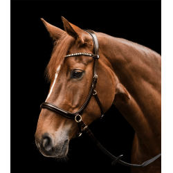 Briglia senza morso Sensation Waldhausen X-Line Marrone