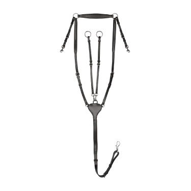 Pettorale Waldhausen Professional X-Line Nero