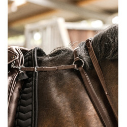 Pettorale Waldhausen Professional X-Line Marrone