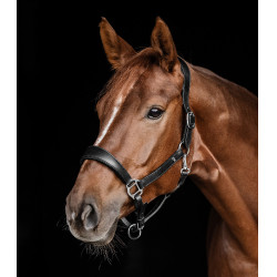 Capezza in cuoio Waldhausen anatomic S-Line