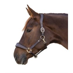 Capezza in cuoio Waldhausen anatomic S-Line Marrone