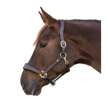Capezza in cuoio Waldhausen anatomic S-Line Marrone