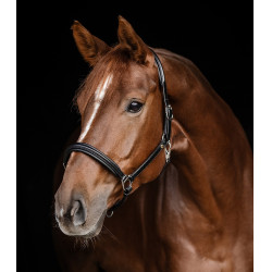 Capestro in cuoio Waldhausen Classy X-Line Nero / argento