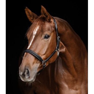 Capestro in cuoio Waldhausen Classy X-Line Nero / argento