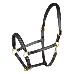 Capestro in cuoio Waldhausen Classy X-Line Marrone / dorato