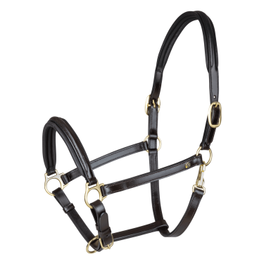 Capestro in cuoio Waldhausen Classy X-Line Marrone / dorato