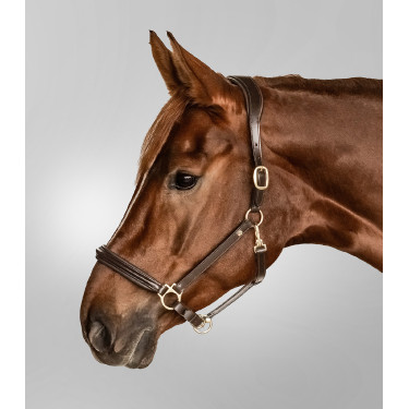 Capestro in cuoio Waldhausen Classy X-Line Marrone / dorato