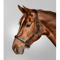 Capezzina in cuoio Waldhausen Crystal X-Line Nero / grigio