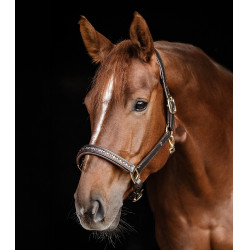 Capezzina in cuoio Waldhausen Crystal X-Line Marrone / oro