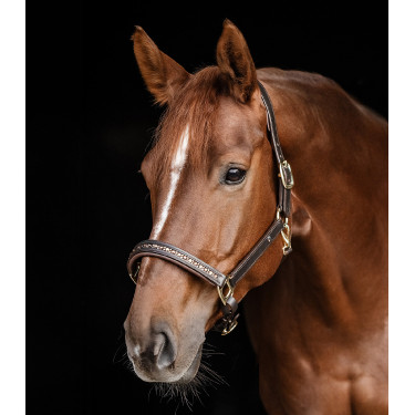 Capezzina in cuoio Waldhausen Crystal X-Line Marrone / oro