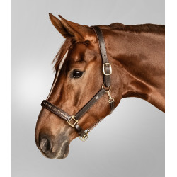 Capezzina in cuoio Waldhausen Crystal X-Line Marrone / oro