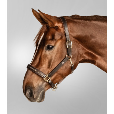 Capezzina in cuoio Waldhausen Crystal X-Line Marrone / oro