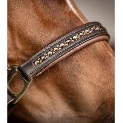 Capezzina in cuoio Waldhausen Crystal X-Line Marrone / oro