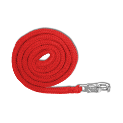 Lunga da cavezza Waldhausen Economic con moschettone anti-panico Rosso