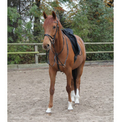 Martingala Waldhausen X-Line Nero