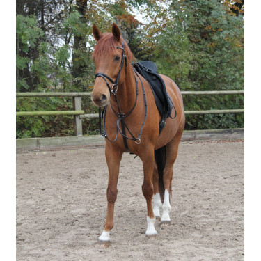 Martingala Waldhausen X-Line Nero