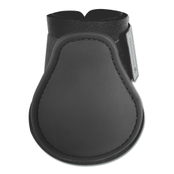 Paraglomi Waldhausen Basic