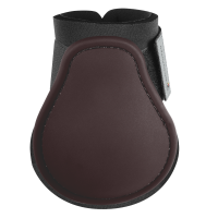 Paraglomi Waldhausen Basic Marrone