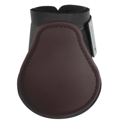 Paraglomi Waldhausen Basic Marrone