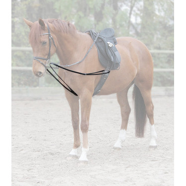 Redini viennesi Waldhausen X-Line Nero Redini viennesi Waldhausen X-Line Nero