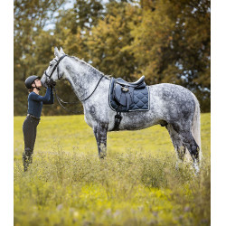 Sella da dressage Waldhausen Premium in cuoio Nero Sella da dressage Waldhausen Premium in cuoio Nero