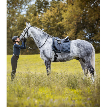 Sella da dressage Waldhausen Premium in cuoio Sella da dressage Waldhausen Premium in cuoio