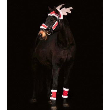 Set di Natale Waldhausen cavallo