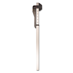 Toise Waldhausen cavallo