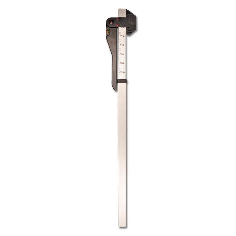 Toise Waldhausen cavallo