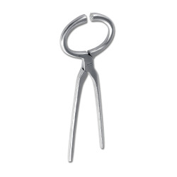 Tronchese Waldhausen per esaminare gli zoccoli Grigio