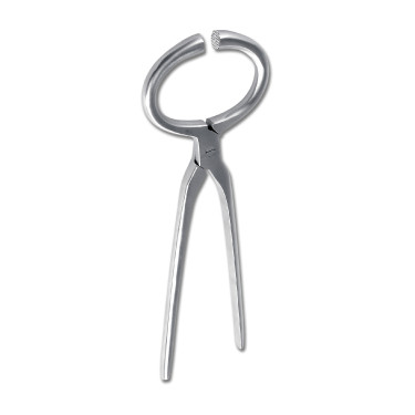 Tronchese Waldhausen per esaminare gli zoccoli Grigio