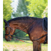 Redini triangolari W-train Waldhausen Nero