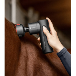 Dispositivo per massaggi Waldhausen Health + Care Pro Hot & Cold Nero / grigio Dispositivo per massaggi Waldhausen Health + Care Pro Hot & Cold Nero / grigio