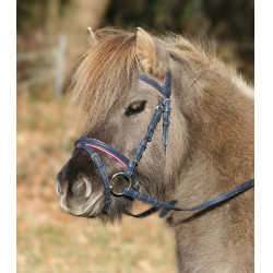 Stella Sposa Unicorno 2