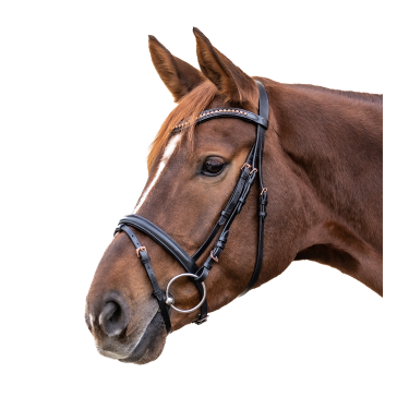 Bridon Rosemary Star Nero Bridon Rosemary Star Nero