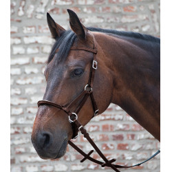 Filet senza imboccatura Linda Tellington-Jones Marrone Filet senza imboccatura Linda Tellington-Jones Marrone