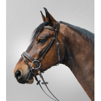 Bridon Star Diamond Marrone / oro