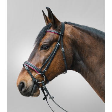 Bridon Star Diamond Fucsia