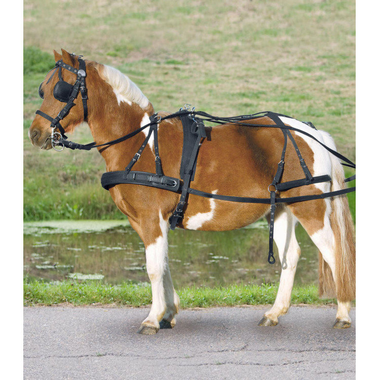 Imbracatura sintetica semplice Star pony shetland