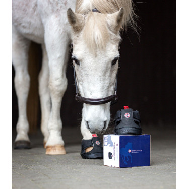 Scarpe da trekking per cavalli Equine Fusion® Scarpe da trekking per cavalli Equine Fusion®