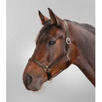 Capezza in cuoio Star Diamond Marrone / oro Capezza in cuoio Star Diamond Marrone / oro